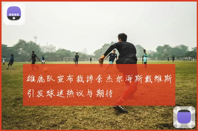 雄鹿队宣布裁掉奈杰尔海斯戴维斯引发球迷热议与期待